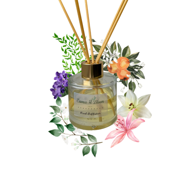 The Clean Diffuser