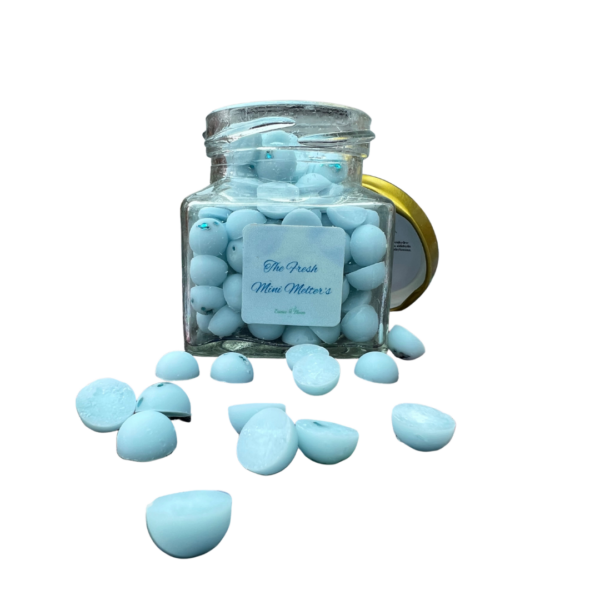 Fresh Mini Melter's
