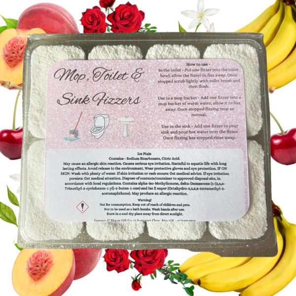 Ice Pixie Toilet, Sink & Mop Fizzers